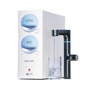 政府补贴安吉尔净水器家用厨房自来水ro反渗透直饮玉龙pro1000GSE