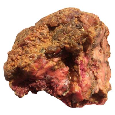 新疆臭阿魏钓鱼打窝添加剂