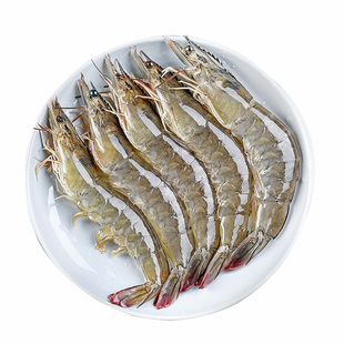 鲜活海明虾青岛大虾基围虾鲜活冷冻青虎虾对虾白虾烟台基围虾2斤