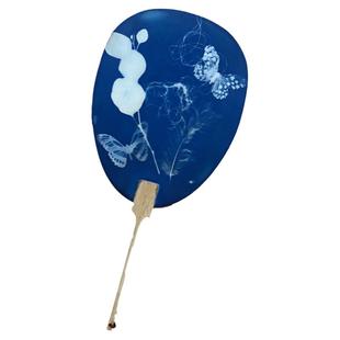 植物蓝晒diy材料包蓝晒液专用纸儿童拓印创意美术手工颜料套装