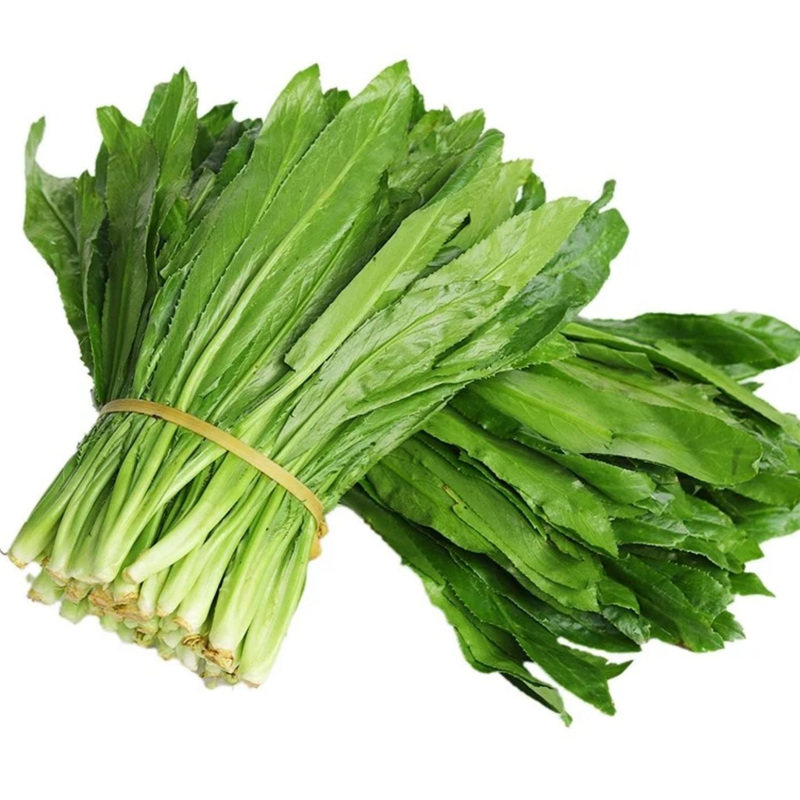 云南大芫荽新鲜蔬菜缅甸大香菜泰国香菜傣味刺芹调味香菜新鲜去头