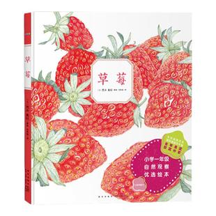 【5册】诺贝尔科学馆植物果实书全套草莓郁金香果实是种子的旅行箱猜猜蛋里住着谁番茄课外书籍读物小小自然观察植物生长科学
