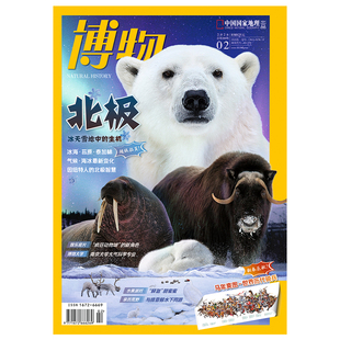 中国国家地理博物26年1月马2月北极月刊单刊自然科普杂志25年典藏