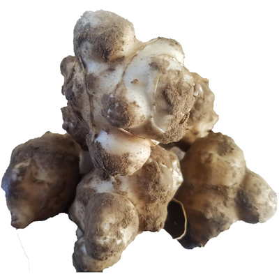 新鲜洋姜现挖当季生吃野菊芋