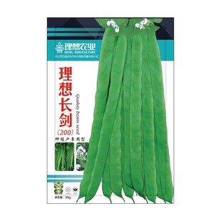 高产宽扁芸豆种子四季豆种子早熟架豆种籽搭架爬藤豆角蔬菜种子