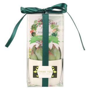 森系欧式婚礼情人节多肉植物伴手礼公司年会百天生日聚会创意礼品