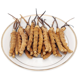 三江源冬虫夏草玉树野生虫草2根1克新草高海拔青海玉树虫草冬虫草