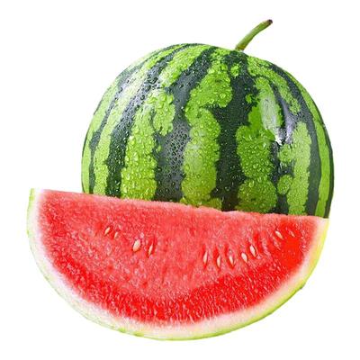 正宗麒麟西瓜新鲜当季水果现摘8424美都西瓜脆甜多汁有籽无籽西瓜