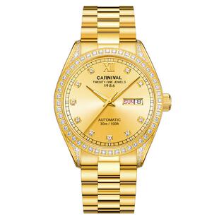 嘉年华手表男机械表全自动防水夜光奢华金表纯金色正品牌男表十大