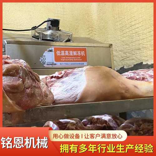 牛肉化冻机 羊肉解冻流水线进口牛羊肉低温解冻柜 低温高湿解冻库