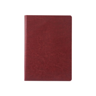 九千年2026日程本效率手册一日一页计划本记事本本子高档商务工作笔记本25K16KA4大号加厚记录本年历本定制