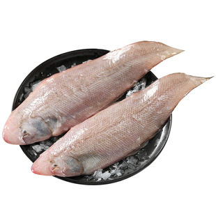 真正龙利鱼新鲜冷冻特大舌鳎鱼玉秃鱼商用鱼排海鲜水产非巴沙鱼