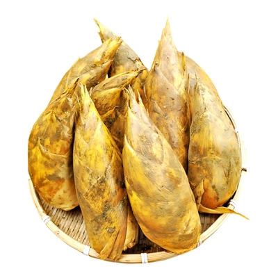 2025大冬笋野生黄泥新鲜现挖5斤浙江临安天目农家春笋大楠毛竹笋