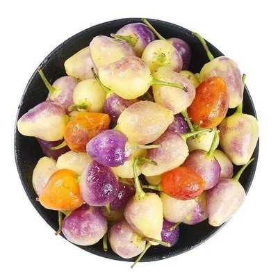 新鲜五彩椒广东七彩椒现摘整箱批