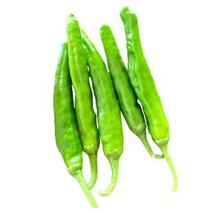 湖南正宗樟树港辣椒苗原种小米椒朝天椒辣椒秧苗四季种子批发大全