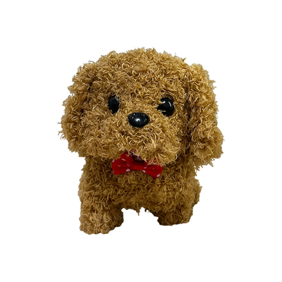 TreasureTail发声狗狗玩具