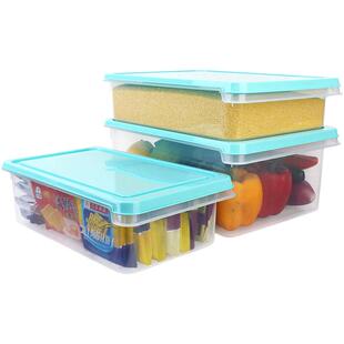 乐亿多冰箱保鲜收纳盒长方形食品冷冻盒鸡蛋盒厨房收纳塑料储物盒