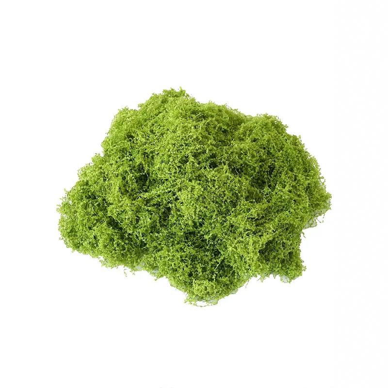 通透仿真苔藓放鱼缸盆栽造景绿植假青苔道具花盆多肉