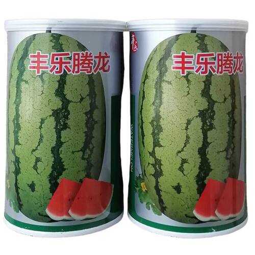 丰乐腾龙西瓜种子 中晚熟西瓜种籽 抗性强易坐果 大红瓤脆甜多汁