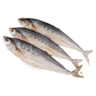 当季新货淡盐保鲜咸香下饭