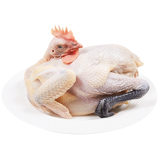 立华鲜雪山草鸡母鸡土鸡走地鸡草鸡柴鸡笨鸡新鲜现杀散养整只