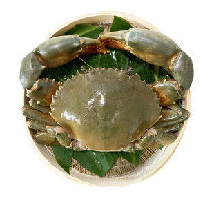 【顺丰】浙江三门青蟹 鲜活大螃蟹 大红膏蟹母 活蟹 年货礼盒装