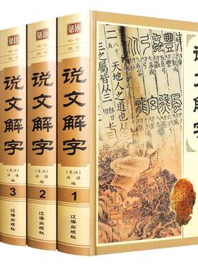 说文解字 精装4册 许慎编 全今释图解540部首篆书字注解 段玉裁注详解康熙大字典咬文嚼字中华藏书文字工具书图解汉字古汉语书籍