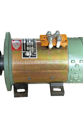 公园游船电机24v500w直流串励机