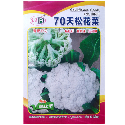 70天松花菜种子青梗花椰菜西兰花