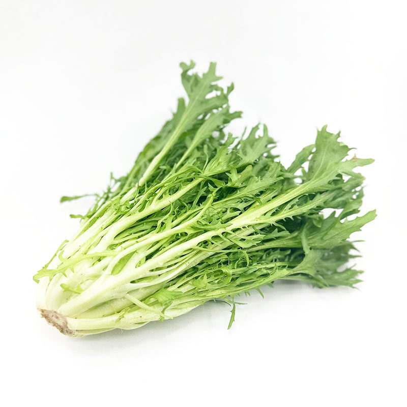 新鲜苦菊 苦苣细叶九牙生菜 西餐食材轻食蔬菜凉拌即食沙拉菜包邮