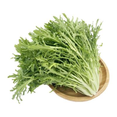 苦叶生菜500g新鲜蔬菜