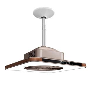 超大款棋牌室麻将专用净化直外排式馆自动升降吸烟灯空气抽烟器机