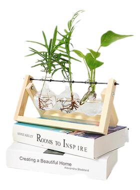 创意桌面水培植物ins玻璃