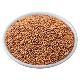 正品菟丝子 正宗野生中药材无硫熏食用内蒙古兔丝子男性泡茶泡酒