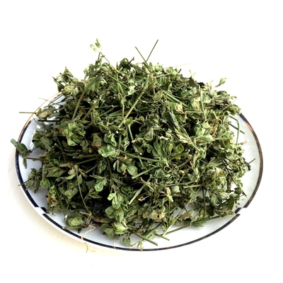 中草药干品新鲜晾晒药食中药材