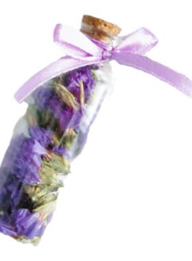 创意玻璃瓶许愿瓶干花薰衣草勿忘我迷你礼物家具摆件拍照道具