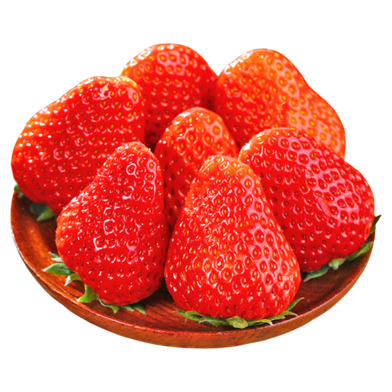 正宗99草莓新鲜应当季水果红颜奶油九九草莓孕妇整箱礼盒顺丰包邮