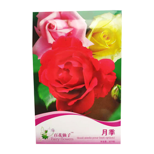 花卉种子鲜花庭院阳台四季种植易成活易发芽驱蚊草薄荷玫瑰满天星