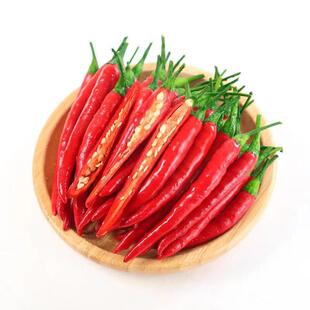 朝天椒种苗辣椒秧苗小米椒青椒树苗秧子四季种植盆栽蔬菜苗孑大全