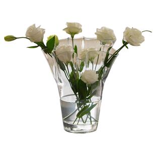 透明白菜羽毛球口径玻璃花瓶北欧简约客厅插花水培花器洋桔梗ins