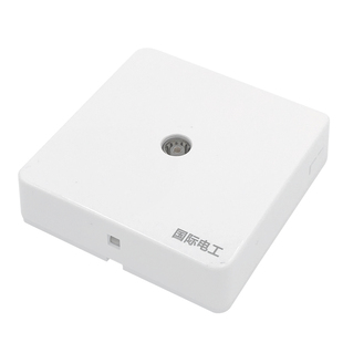 国际电工明装开关插座面板明线盒灯开关二开双控2开两位两控86型