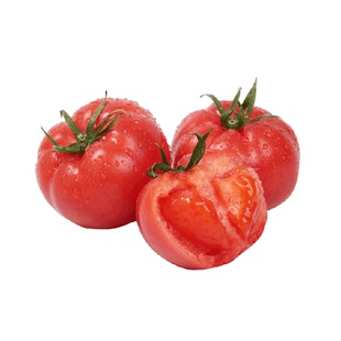 【下拉详情有优惠】四川高山口感番茄西红柿沙瓤新鲜水果自然熟