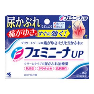 日本直邮日本小林制药尿道外部皮肤皮炎抗炎软膏15g