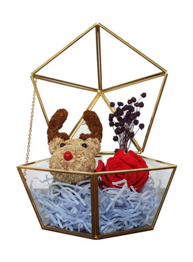 玻璃罩摆件永生花礼盒多肉房婚礼