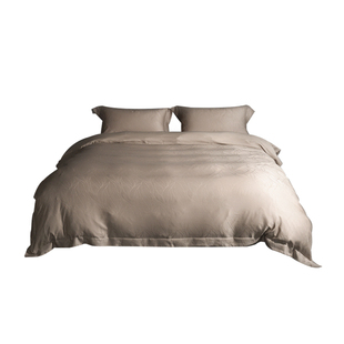 SIDANDA奥地利100支兰精天丝提花四件套轻奢套件床单床笠丝滑亲肤