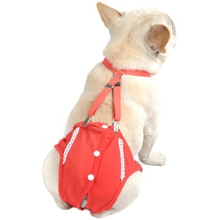 法斗狗狗生理裤女泰迪宠物柯基月经裤母狗中小型安全裤防骚扰