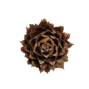 杉树果 柳杉松果干果干花包复古网店拍摄道具客厅桌面装饰diy摆件