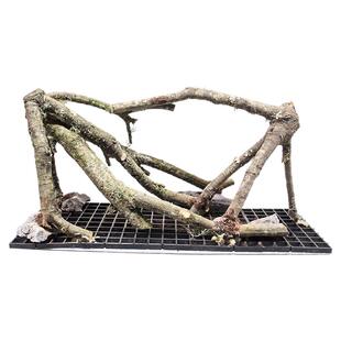 南美风格黄梨木一体多枝沉木骨架原生态造景装饰雨林鱼缸全套套装