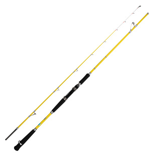 白果子船竿40号60号船钓竿近海小船鱼竿路亚竿远投海钓黄姑鱼鱼杆