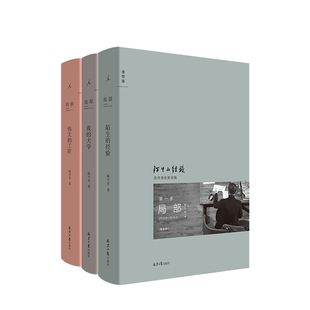 局部1-3套装 陌生的经验+我的大学+伟大的工匠 新版 陈丹青 美学中西艺术 文人画 西方艺术史 纽约琐记 退步集